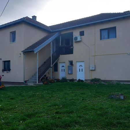 Rm Castell Apartments 노비사드 외부 사진