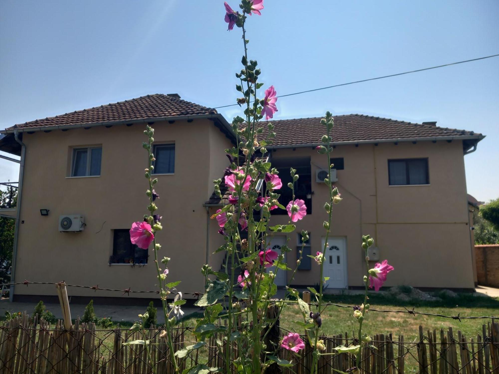 Rm Castell Apartments 노비사드 외부 사진